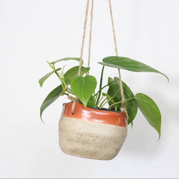 Red Edge Ceramic Hanging Planter NWT - Picture 2 of 2